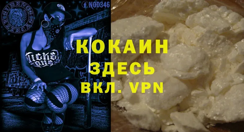 наркота  Ленинск  Cocaine VHQ 